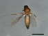  ( - 09BBEDI-1640)  @12 [ ] CreativeCommons - Attribution (2010) Unspecified Centre for Biodiversity Genomics
