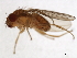 ( - 09BBEDI-1787)  @13 [ ] CreativeCommons - Attribution (2010) Unspecified Centre for Biodiversity Genomics