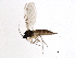  ( - 09BBEDI-1800)  @12 [ ] CreativeCommons - Attribution (2010) Unspecified Centre for Biodiversity Genomics