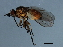  ( - 09BBEDI-2530)  @13 [ ] CreativeCommons - Attribution (2010) CBG Photography Group Centre for Biodiversity Genomics