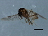  ( - 09BBEDI-2539)  @13 [ ] CreativeCommons - Attribution (2010) CBG Photography Group Centre for Biodiversity Genomics