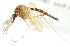  ( - 09BBEDI-2759)  @14 [ ] CreativeCommons - Attribution (2010) CBG Photography Group Centre for Biodiversity Genomics