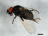  ( - 09BBEDI-1974)  @12 [ ] CreativeCommons - Attribution (2010) Unspecified Centre for Biodiversity Genomics