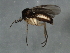  ( - 09BBEDI-1992)  @13 [ ] CreativeCommons - Attribution (2010) Unspecified Centre for Biodiversity Genomics