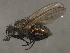  ( - 08BBDIP-2225)  @14 [ ] CreativeCommons - Attribution (2009) Unspecified Centre for Biodiversity Genomics
