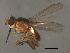  ( - 08BBDIP-2229)  @13 [ ] CreativeCommons - Attribution (2009) Unspecified Centre for Biodiversity Genomics