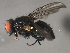  ( - 08BBDIP-2267)  @13 [ ] CreativeCommons - Attribution (2009) Unspecified Centre for Biodiversity Genomics