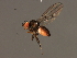  ( - 08BBDIP-2275)  @13 [ ] CreativeCommons - Attribution (2009) Unspecified Centre for Biodiversity Genomics