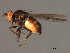  ( - 08BBDIP-2277)  @12 [ ] CreativeCommons - Attribution (2009) Unspecified Centre for Biodiversity Genomics
