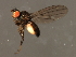  ( - 08BBDIP-2279)  @12 [ ] CreativeCommons - Attribution (2009) Unspecified Centre for Biodiversity Genomics