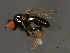  ( - 08BBDIP-2313)  @12 [ ] CreativeCommons - Attribution (2009) Unspecified Centre for Biodiversity Genomics