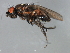  ( - 08BBDIP-2319)  @13 [ ] CreativeCommons - Attribution (2009) Unspecified Centre for Biodiversity Genomics