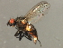  ( - 08BBDIP-2320)  @14 [ ] CreativeCommons - Attribution (2009) Unspecified Centre for Biodiversity Genomics