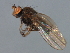  ( - 08BBDIP-2326)  @12 [ ] CreativeCommons - Attribution (2009) Unspecified Centre for Biodiversity Genomics