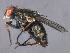  ( - 08BBDIP-2368)  @14 [ ] CreativeCommons - Attribution (2009) Unspecified Centre for Biodiversity Genomics