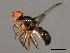  ( - 08BBDIP-2409)  @13 [ ] CreativeCommons - Attribution (2009) Unspecified Centre for Biodiversity Genomics