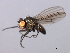  ( - 08BBDIP-2429)  @12 [ ] CreativeCommons - Attribution (2009) Unspecified Centre for Biodiversity Genomics