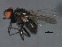  ( - 08BBDIP-2445)  @13 [ ] CreativeCommons - Attribution (2009) Unspecified Centre for Biodiversity Genomics