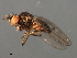  ( - 08BBDIP-2484)  @12 [ ] CreativeCommons - Attribution (2009) Unspecified Centre for Biodiversity Genomics