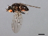  ( - 08BBDIP-2487)  @13 [ ] CreativeCommons - Attribution (2009) Unspecified Centre for Biodiversity Genomics
