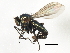  ( - 08BBDIP-2520)  @13 [ ] CreativeCommons - Attribution (2009) Unspecified Centre for Biodiversity Genomics