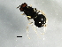  ( - 08BBDIP-2526)  @13 [ ] CreativeCommons - Attribution (2009) Unspecified Centre for Biodiversity Genomics