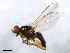  ( - 08BBDIP-2585)  @14 [ ] CreativeCommons - Attribution (2009) Unspecified Centre for Biodiversity Genomics