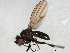  ( - 08BBDIP-2740)  @13 [ ] CreativeCommons - Attribution (2010) Unspecified Centre for Biodiversity Genomics