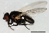  ( - 08BBDIP-2742)  @13 [ ] CreativeCommons - Attribution (2010) Unspecified Centre for Biodiversity Genomics
