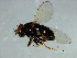  ( - 08BBDIP-2771)  @13 [ ] CreativeCommons - Attribution (2010) Unspecified Centre for Biodiversity Genomics