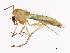  ( - 08BBDIP-2624)  @14 [ ] CreativeCommons - Attribution (2010) CBG Photography Group Centre for Biodiversity Genomics