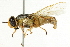  ( - BIOUG01786-H10)  @13 [ ] CreativeCommons - Attribution (2012) CBG Photography Group Centre for Biodiversity Genomics