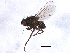  ( - BIOUG01833-E06)  @12 [ ] CreativeCommons - Attribution (2012) CBG Photography Group Centre for Biodiversity Genomics