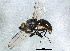  ( - BIOUG02271-B10)  @13 [ ] CreativeCommons - Attribution (2012) CBG Photography Group Centre for Biodiversity Genomics