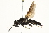 ( - BIOUG01787-A03)  @13 [ ] CreativeCommons - Attribution (2012) CBG Photography Group Centre for Biodiversity Genomics