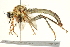  ( - BIOUG01805-A01)  @14 [ ] CreativeCommons - Attribution (2012) CBG Photography Group Centre for Biodiversity Genomics