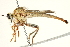  ( - BIOUG01805-A02)  @14 [ ] CreativeCommons - Attribution (2012) CBG Photography Group Centre for Biodiversity Genomics