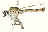  ( - BIOUG01805-E04)  @14 [ ] CreativeCommons - Attribution (2012) CBG Photography Group Centre for Biodiversity Genomics