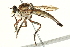  ( - BIOUG01805-G01)  @14 [ ] CreativeCommons - Attribution (2012) CBG Photography Group Centre for Biodiversity Genomics