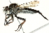  ( - BIOUG01806-A02)  @13 [ ] CreativeCommons - Attribution (2012) CBG Photography Group Centre for Biodiversity Genomics