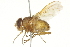  ( - BIOUG01806-C11)  @13 [ ] CreativeCommons - Attribution (2012) CBG Photography Group Centre for Biodiversity Genomics