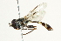  ( - BIOUG01788-G09)  @13 [ ] CreativeCommons - Attribution (2012) CBG Photography Group Centre for Biodiversity Genomics