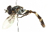  ( - BIOUG01788-G12)  @13 [ ] CreativeCommons - Attribution (2012) CBG Photography Group Centre for Biodiversity Genomics