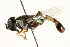  ( - BIOUG01788-H06)  @13 [ ] CreativeCommons - Attribution (2012) CBG Photography Group Centre for Biodiversity Genomics