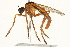 ( - BIOUG01804-G04)  @13 [ ] CreativeCommons - Attribution (2012) CBG Photography Group Centre for Biodiversity Genomics