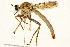  ( - BIOUG01804-H10)  @14 [ ] CreativeCommons - Attribution (2012) CBG Photography Group Centre for Biodiversity Genomics