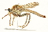  ( - BIOUG01804-H11)  @13 [ ] CreativeCommons - Attribution (2012) CBG Photography Group Centre for Biodiversity Genomics