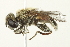 ( - BIOUG01789-A06)  @12 [ ] CreativeCommons - Attribution (2012) CBG Photography Group Centre for Biodiversity Genomics