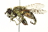  ( - BIOUG01789-A08)  @13 [ ] CreativeCommons - Attribution (2012) CBG Photography Group Centre for Biodiversity Genomics