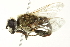  ( - BIOUG01789-A09)  @13 [ ] CreativeCommons - Attribution (2012) CBG Photography Group Centre for Biodiversity Genomics